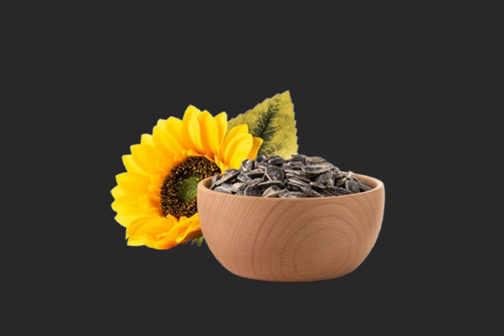 oil-seed