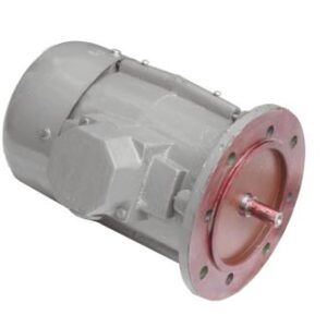 INDUCTION MOTOR (FLANGE MOUNTING) 0.18 KW,380V,1500 RPM Ref : LSL6 3626 06