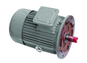 THREE PHASE MOTOR 3.0Kw 1430/MIN B14G Ref : ARDS-01278